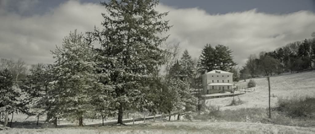 Wyeth 2018