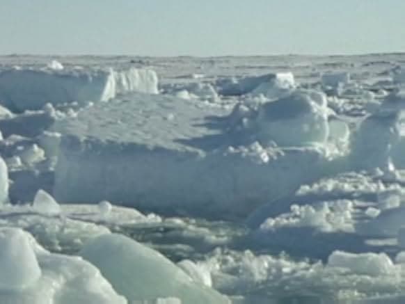 The Blue Planet 2002