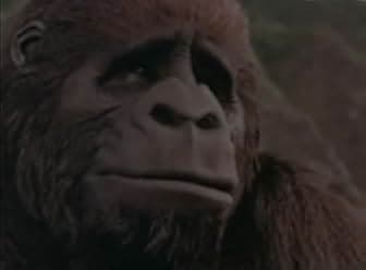 Born to Be Wild 1995