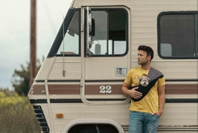 Dogs on the Sendero 2024