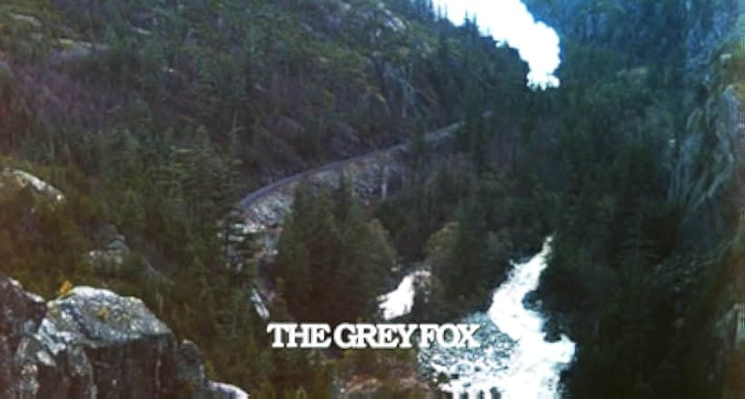 The Grey Fox 1982