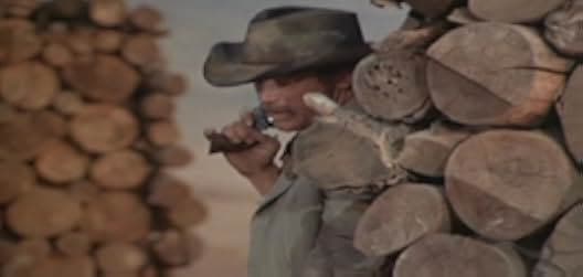 Stranger on the Run 1967