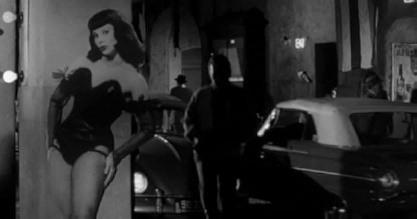 Kitten with a Whip 1965