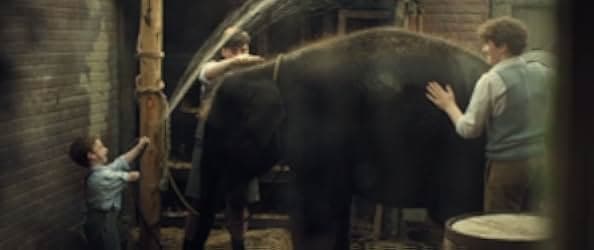 Zoo 2017