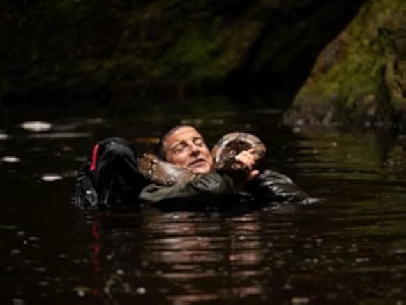 Animals on the Loose: A You vs. Wild Movie 2021