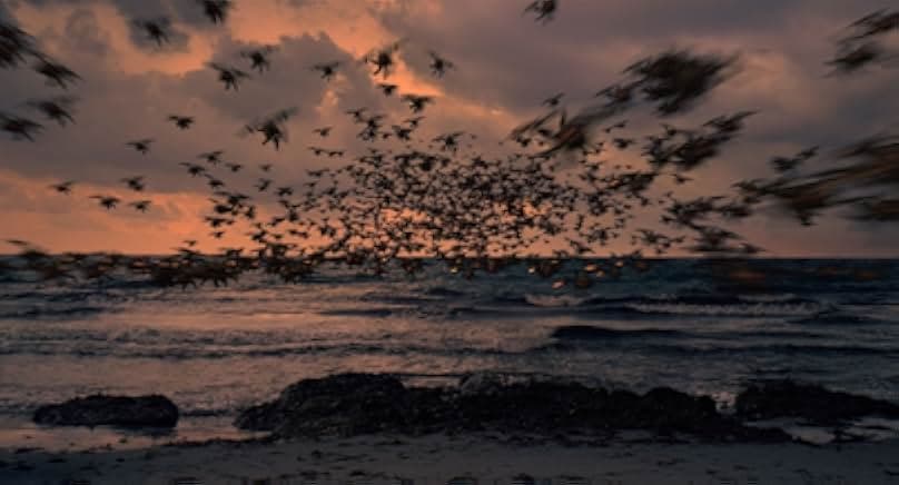 Jessica Forever 2020