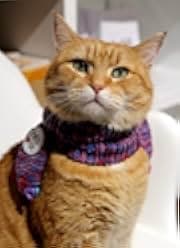 A Gift from Bob 2020