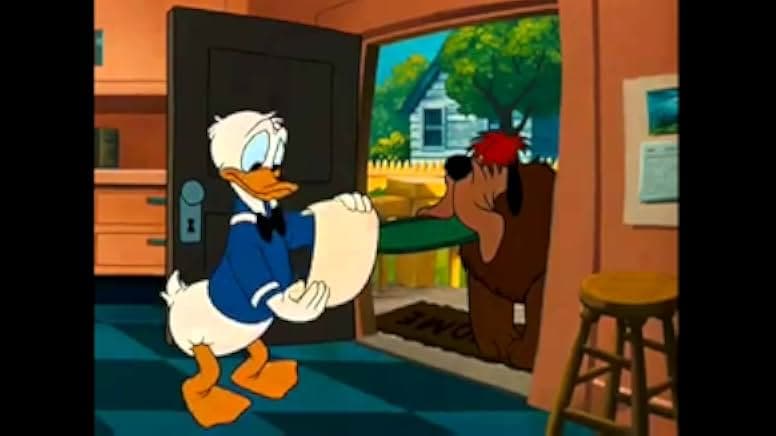 The New Neighbor 1953