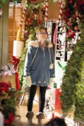 The Christmas Ornament 2013