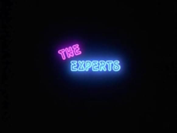 The Experts 1989