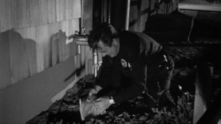 Shield for Murder 1954