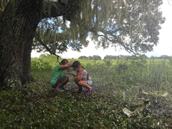 The Florida Project 2017