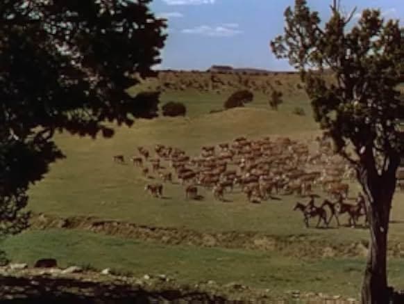 The Redhead from Wyoming 1953