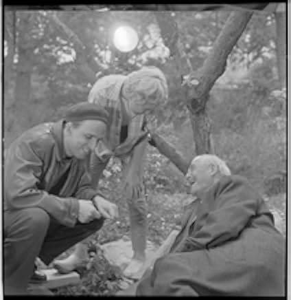 Bergman: A Year in a Life 2018