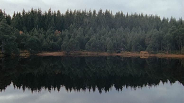 Wood and Water 2021