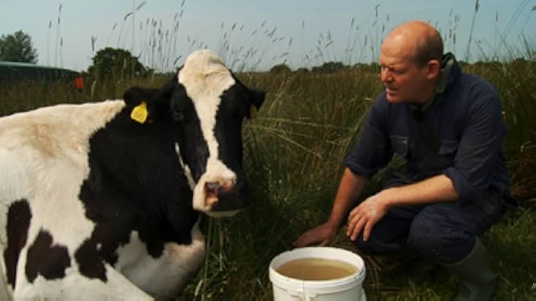 The Moo Man 2013