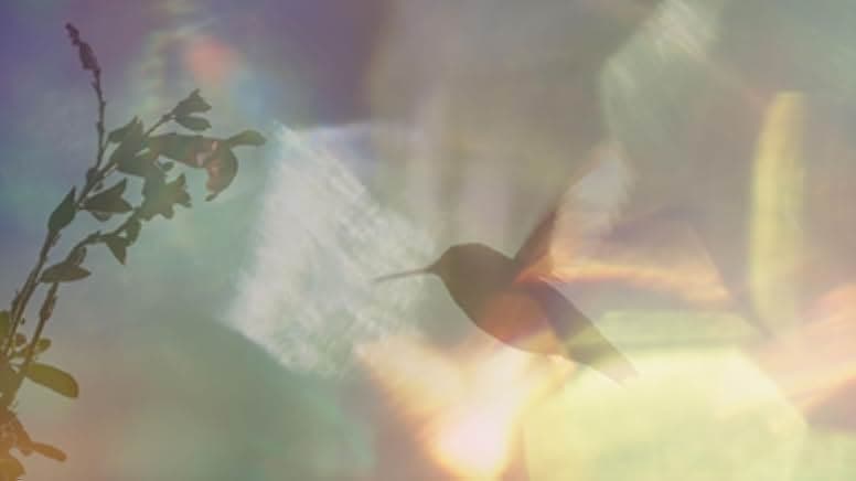 Every Little Thing 2024