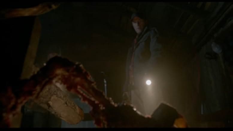 Into the Grizzly Maze 2015