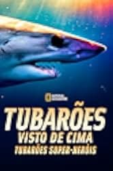 Shark Superpower 2022