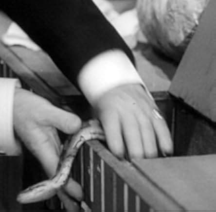 Sherlock Holmes und das Halsband des Todes 1962