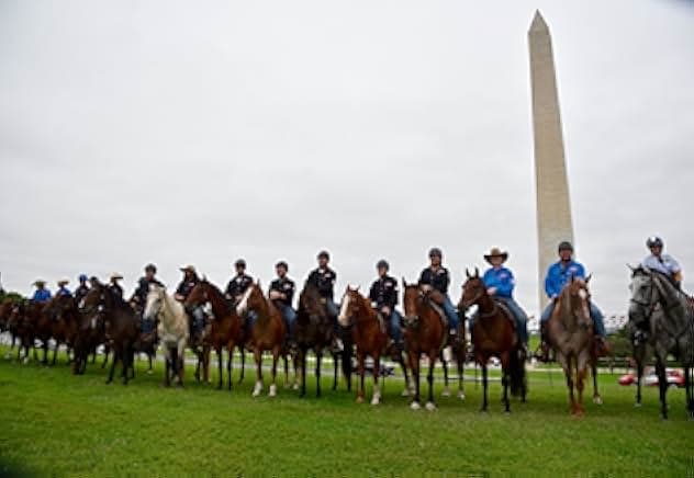 Mustang Saviors 2020