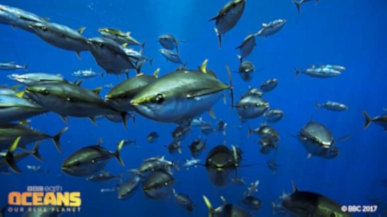 Oceans: Our Blue Planet 2012