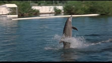 Cruel Jaws 1995
