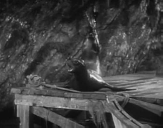 Topper Returns 1941