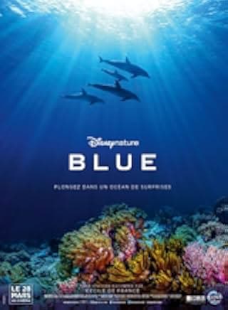 Dolphin Reef 2018