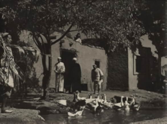 The Land 1970