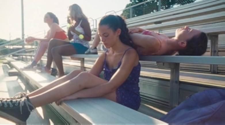 American Cherry 2023