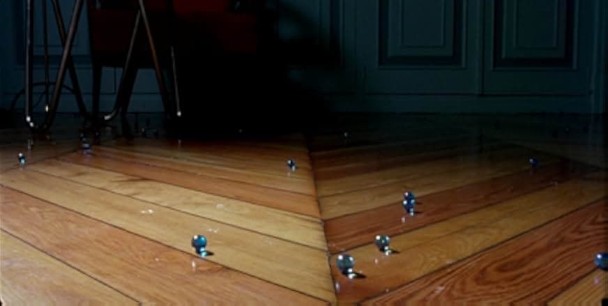 The Flower of My Secret 1995