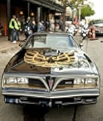 The Bandit 2016