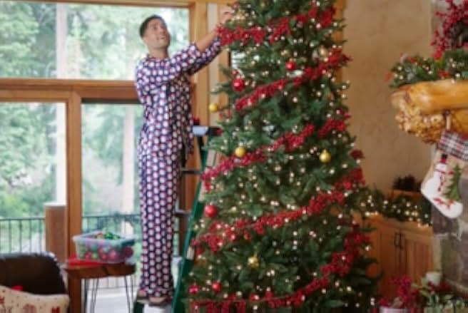 A Picture Perfect Holiday 2021