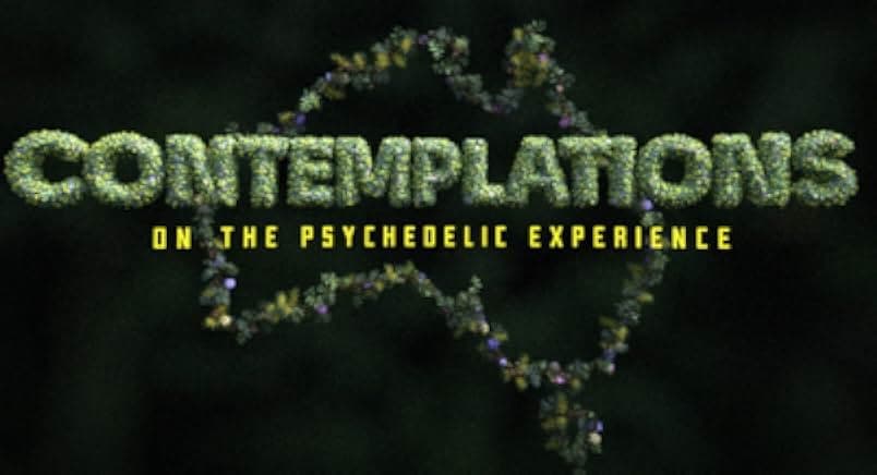 Contemplations: On the Psychedelic Experience 2022