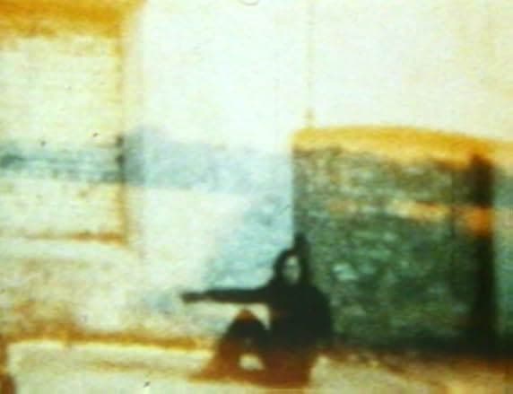 In the Shadow of the Sun 1981