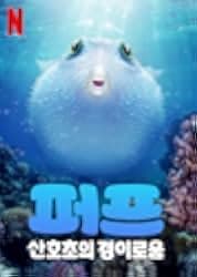 Puff: Wonders of the Reef 2021