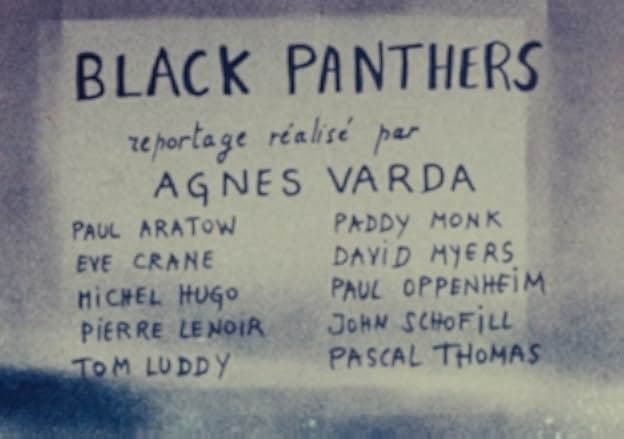 Black Panthers 2015