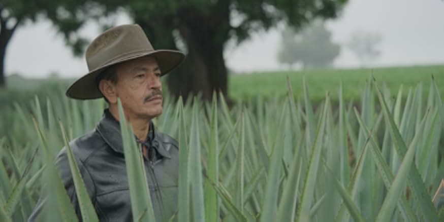 Agave: Spirit of a Nation 2018