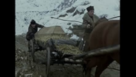 The Wolf 1983