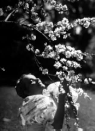 The Song of Songs 1933