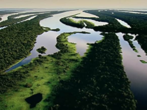 Wildest Islands 2012–