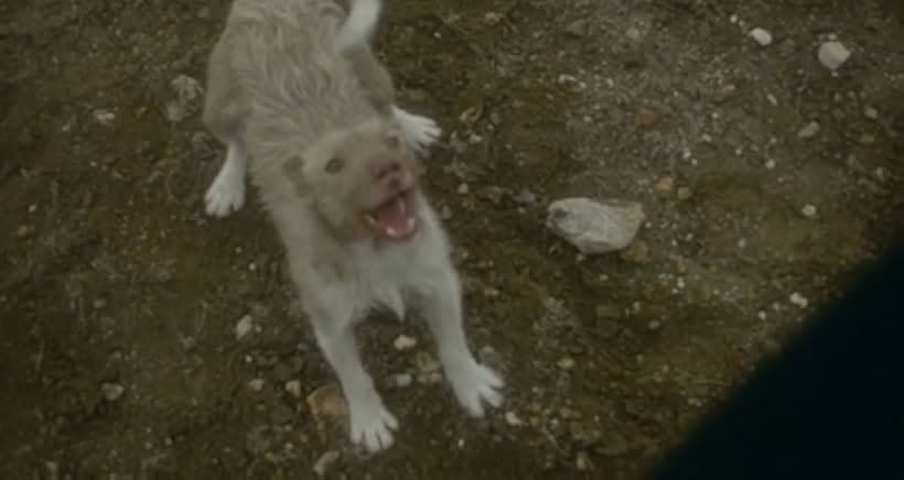 The Four of the Apocalypse... 1975