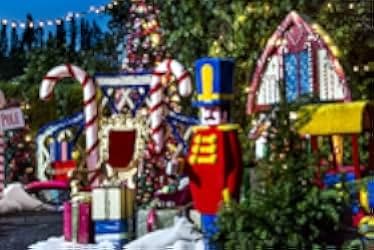 'Tis the Season for Love 2015
