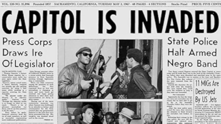 The Black Panthers: Vanguard of the Revolution 2015