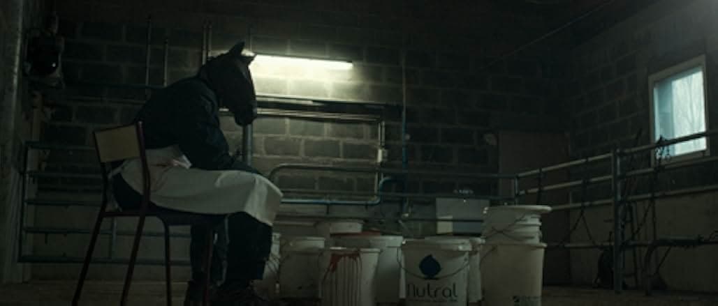 Les animaux anonymes 2020