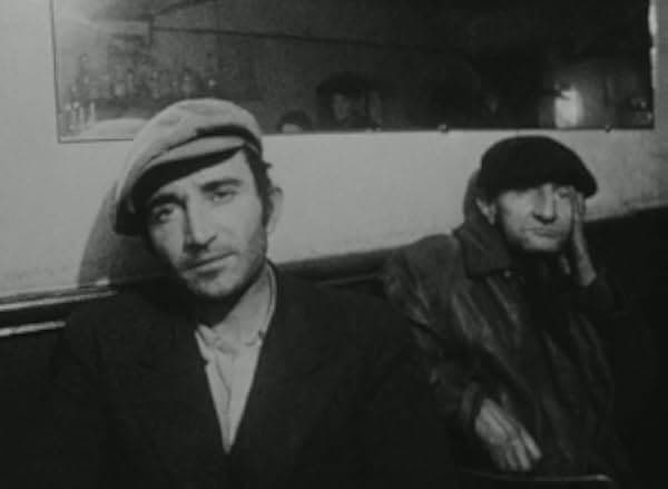 Diary of a Pregnant Woman 1958