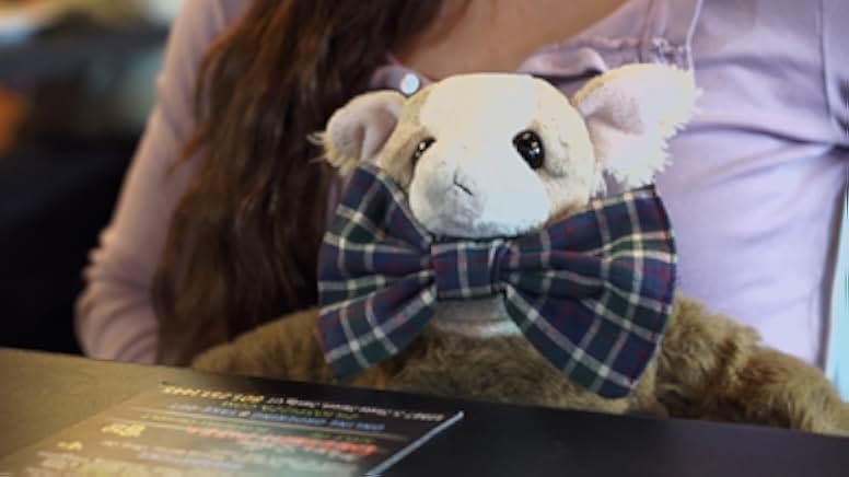 Hello I Love You 2018