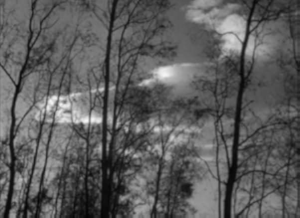 Woman Who Came Back 1945