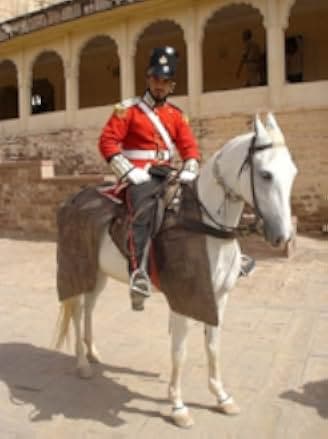 Veer 2010